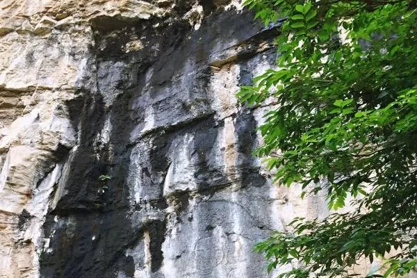 青州仰天山好玩嗎 <a href='http://www.carolinedutrey.com/' target=_blank>旅游攻略</a>